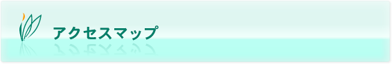 アクセスマップ